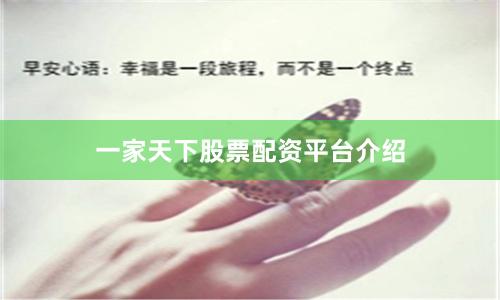 一家天下股票配资平台介绍
