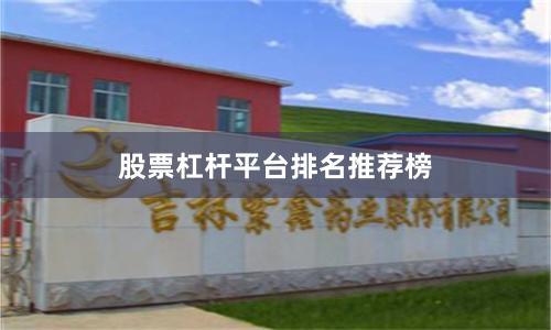 股票杠杆平台排名推荐榜